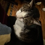 カフェ アルル - 