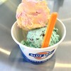 ブルーシールアイスクリーム - ハイビスカス＆マンゴーとサンフランシスコミントチョコのダブルをカップで。