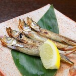 大衆酒場 マルキ - 