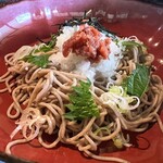 そば処 とんぼ - 梅しそおろしそば