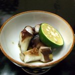 月波 - 明石蛸 （0910）