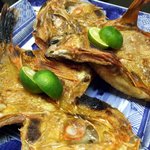 月波 - きんき （0910）