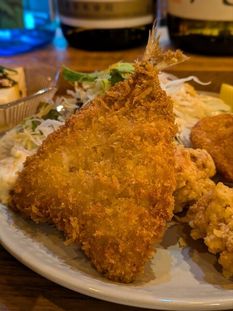 Titan Hachibee photo 3