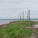 シーサイドホテル - トドワラ