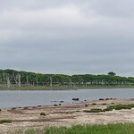 シーサイドホテル - ナラワラ