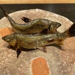 きたしんち 弓場慎之佑 - 小鮎塩焼き