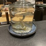 きたしんち 弓場慎之佑 - 小鮎