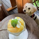 軽井沢焙煎所 - 