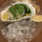 Trattoria Monolito - 生牡蠣