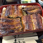 炭焼うなぎ あおいや - 