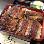 炭焼うなぎ あおいや - 