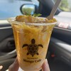 Blue Turtle Farm Mango Cafe