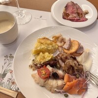 スプレンディード -  スプレンディード -