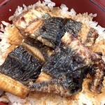 Uwo Yoshi - 烤焦的表面