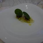 クイントカント - タコ