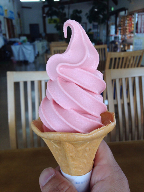 道の駅米山 ふる里センターY・Y - 登米市その他（道の駅）の写真