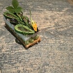 レヴォ - 太刀魚