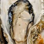 酔心 - 広島県産 焼き牡蠣四種味比べの塩焼き