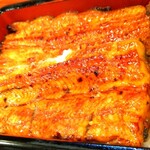 鰻 むさし乃 - 鰻重