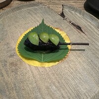 レヴォ - スッポン　万願寺唐辛子　グリーントマト