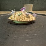 レヴォ - 黒文字