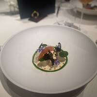 ジョンティ アッシュ - 