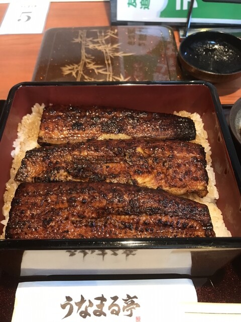 うなまる。 うなまる亭｜静岡県袋井市のうなぎ専門店