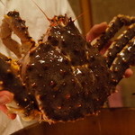 主役タラバガニ2.5kgが登場 2014.3.2x