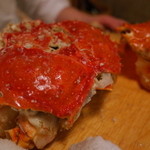 赤坂 きた福 - 甲羅の下には脱皮のために準備された柔らかい甲羅が… 2014.3.2x