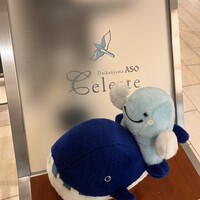 代官山ASO チェレステ 日本橋店 - 