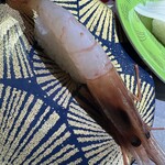 回転寿司 根室花まる ココノススキノ店 - 