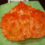 赤坂 きた福 - お土産に持ち帰ったタラバの甲羅 2014.3.2x