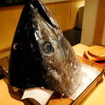 ことぶき寿司 - バスケットボールサイズのまぐろの頭