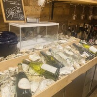 四ツ橋・新町 牡蠣と肉たらしビストロAKIRA - 