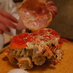 甲羅の下にはまた甲羅 2014.3.2x