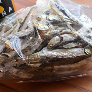 手打うどん いぶき_0