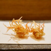 天 よこた - 