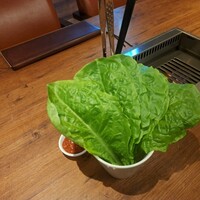 焼肉うしごろ 西麻布本店 - サンチュと赤味噌です。