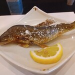 四季彩肴 雅 - 