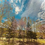 ビトウィーン ザ ブレッド - 