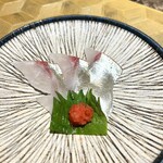 名駅 鉄板焼き 森本Ｘ Premium - 