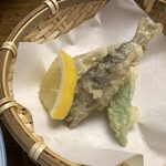 湯宿 だいいち - 