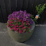 湯宿 だいいち - 