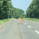 湯宿 だいいち - 