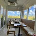 Blue Turtle Farm Mango Cafe - 店内風景