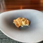 蒼 - 赤雲丹のフェデリーニ