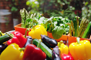 レストラン・ヴェルデュール - 公園通りに朝日がいっぱい・・・