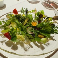 レフェルヴェソンス - 