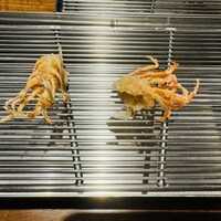 てんぷら山の上 Ginza - 