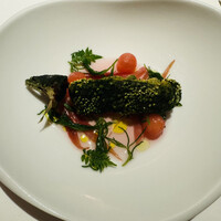 レフェルヴェソンス - 